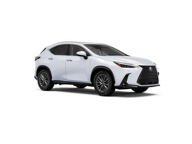 2026 Lexus NX 350h Luxury AWD photo 4