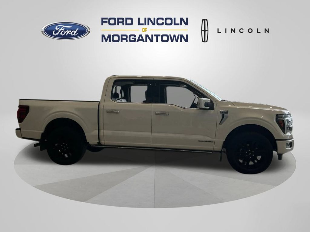 2024 Ford F-150 Platinum photo 4
