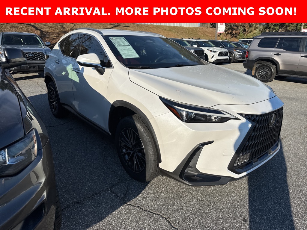 2022 Lexus NX 250's photo