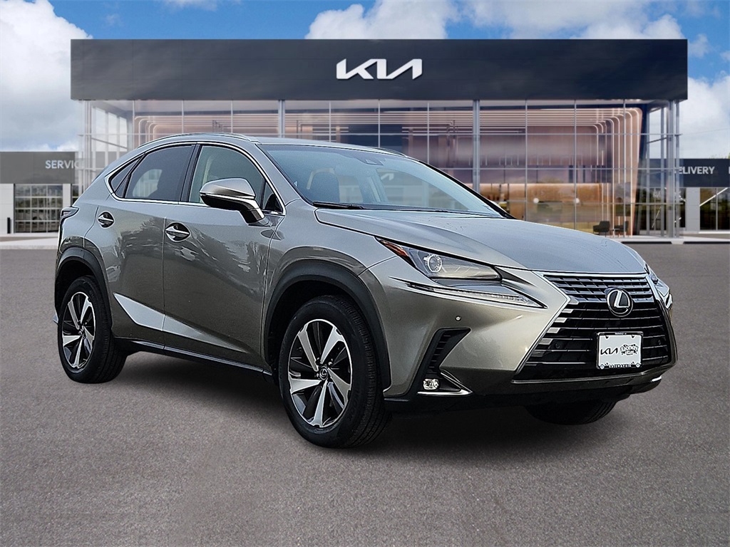 2018 Lexus NX 300's photo
