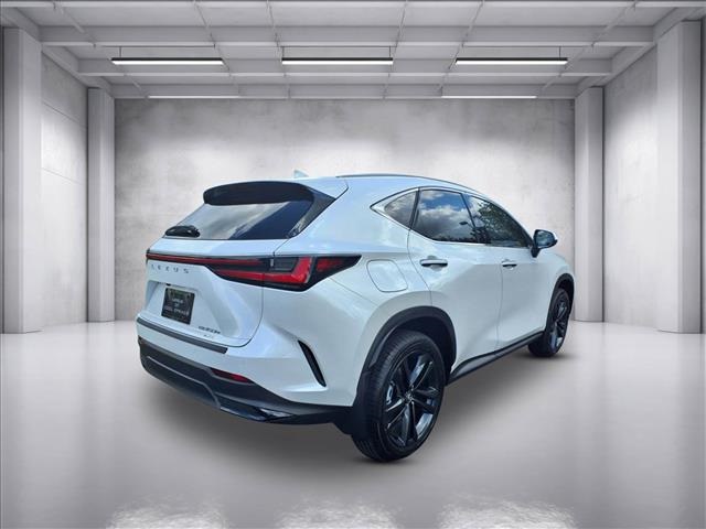 2025 Lexus NX Luxury AWD photo 4