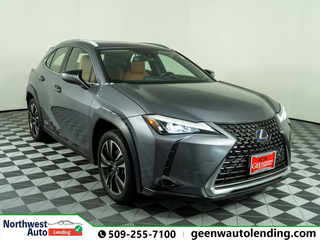 2021 Lexus UX Hybrid 250h's photo