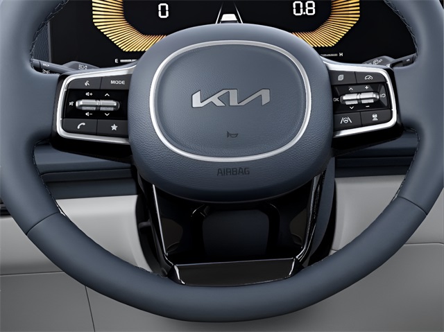 2025 Kia Carnival EX photo 20