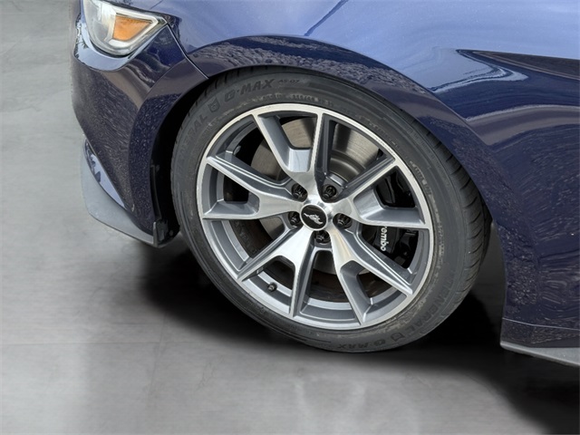 2015 Ford Mustang GT 50th Anniversary Edition photo 9