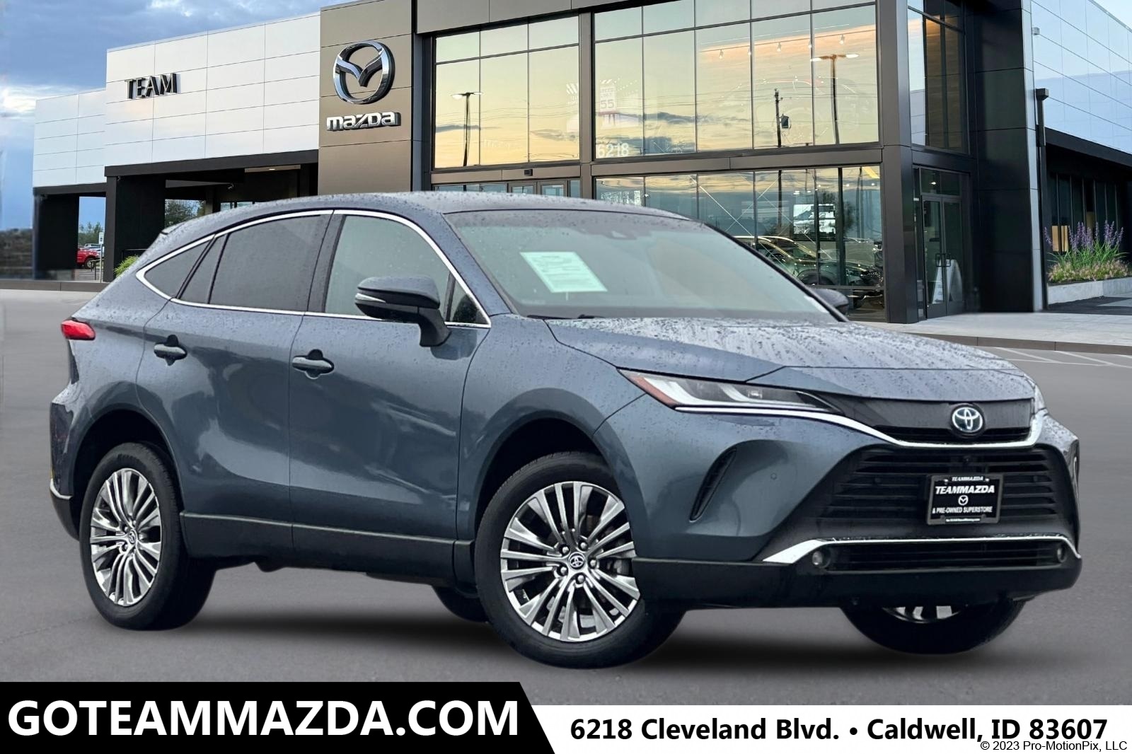 2023 Toyota Venza Limited's photo