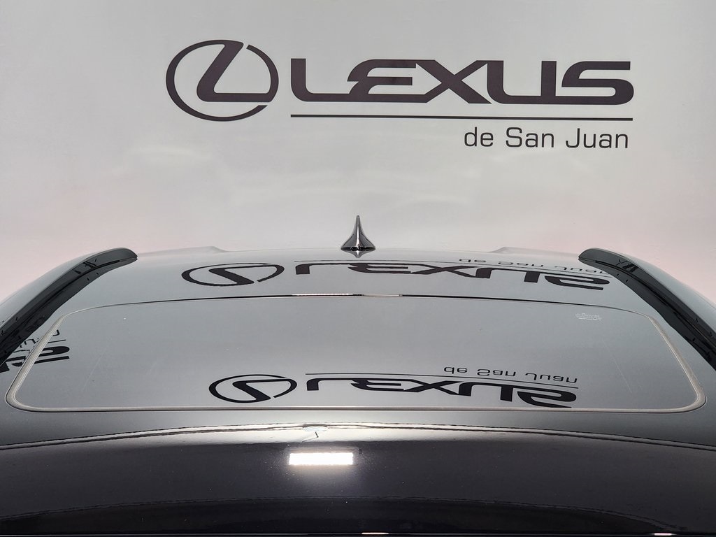 2025 Lexus UX photo 7