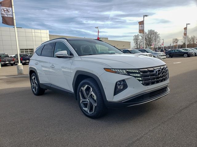 2023 Hyundai Tucson Limited photo 2
