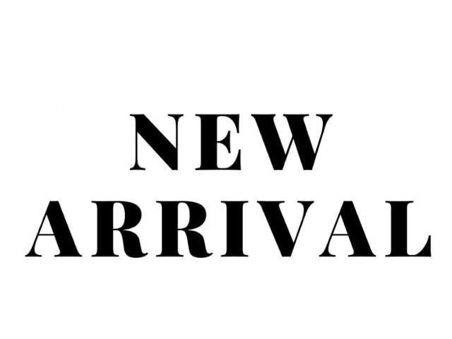 2023 RAM 1500 Big Horn's photo