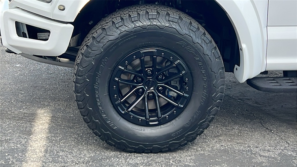 2019 Ford F-150 Raptor photo 7