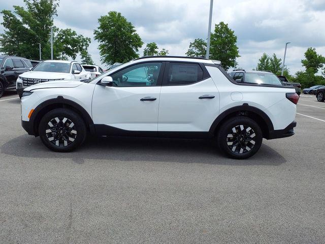 新品 Saravah / INDIANA Size:60 サラヴァ インディアナ JUST IN! ITS A BEAUTY! 2022 Hyundai Santa Fe Calligraphy AWD