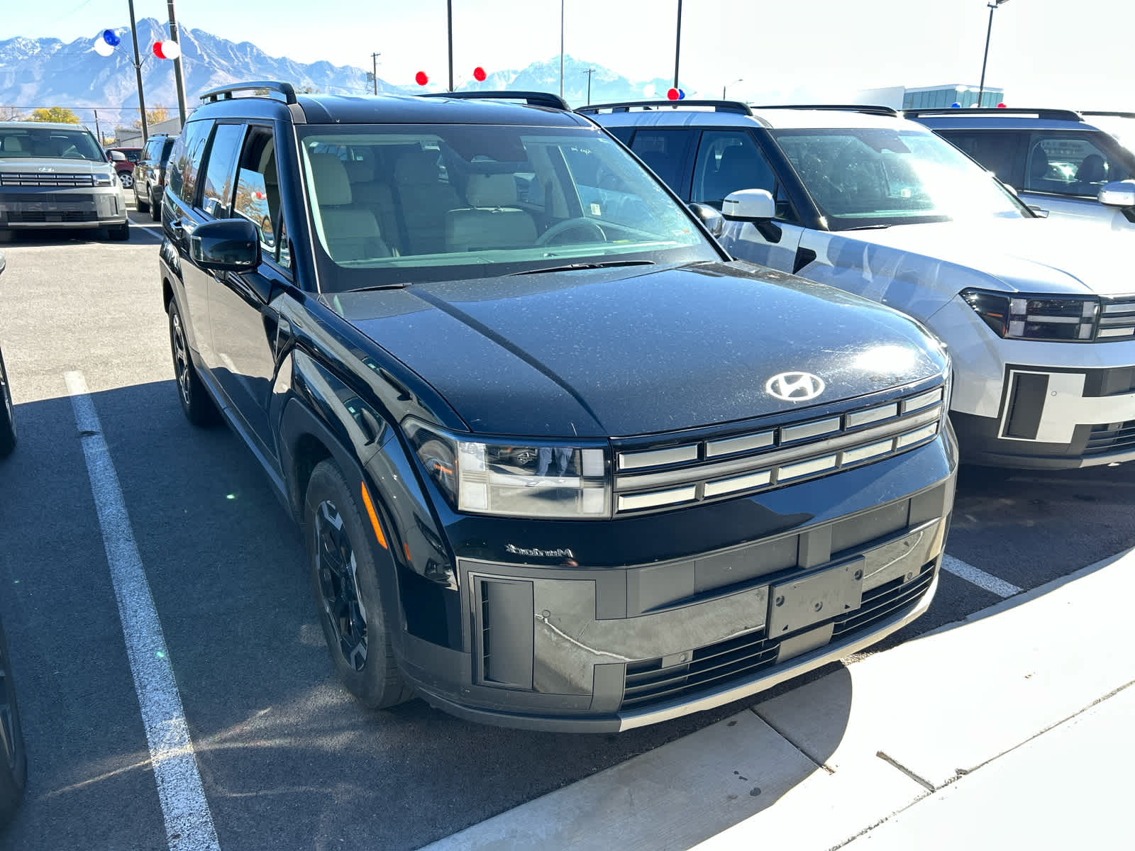 2025 Hyundai Palisade Calligraphy photo 4