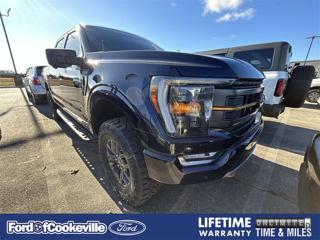 2022 Ford F-150 Tremor's photo