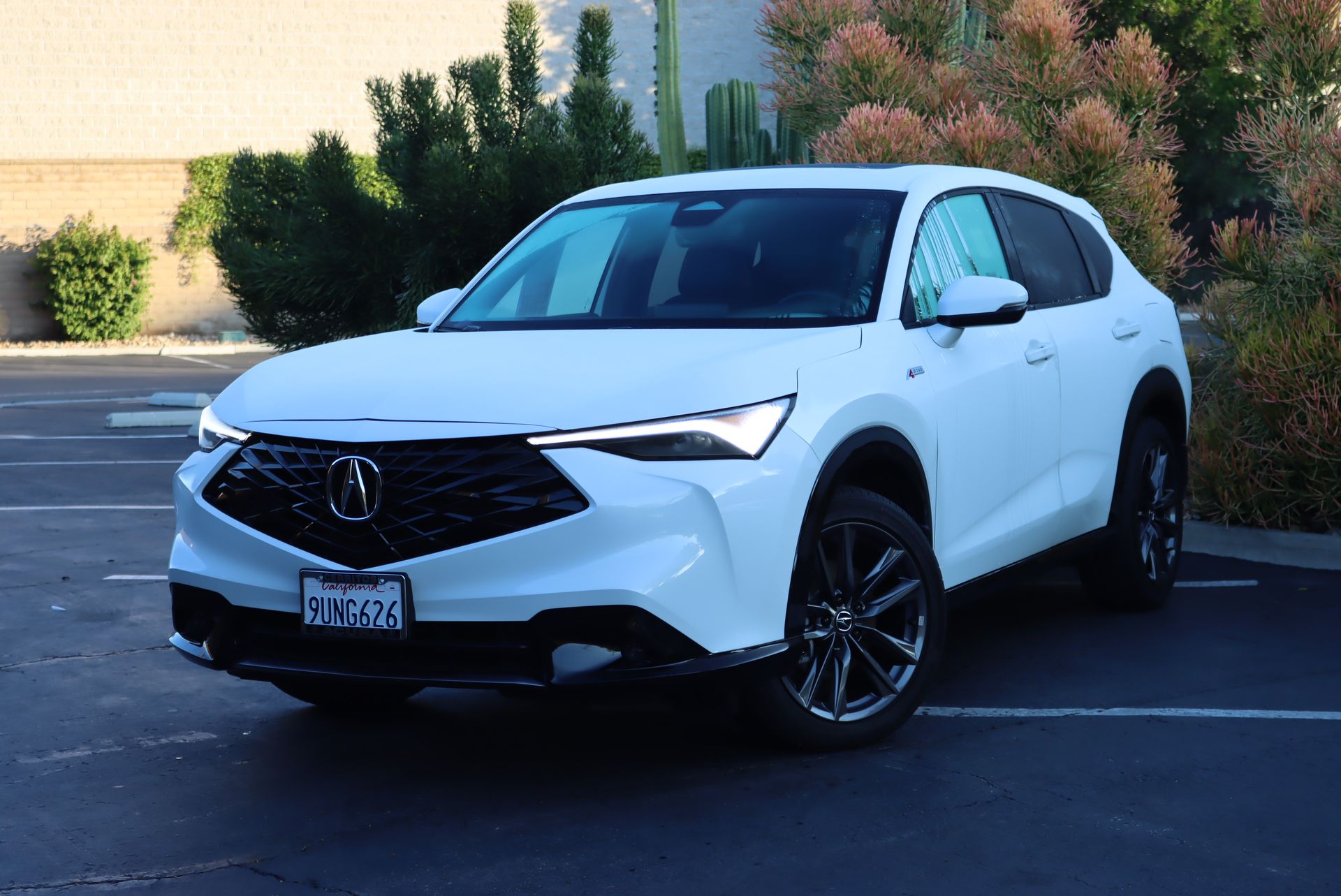 2025 Acura ADX A-Spec Package's photo