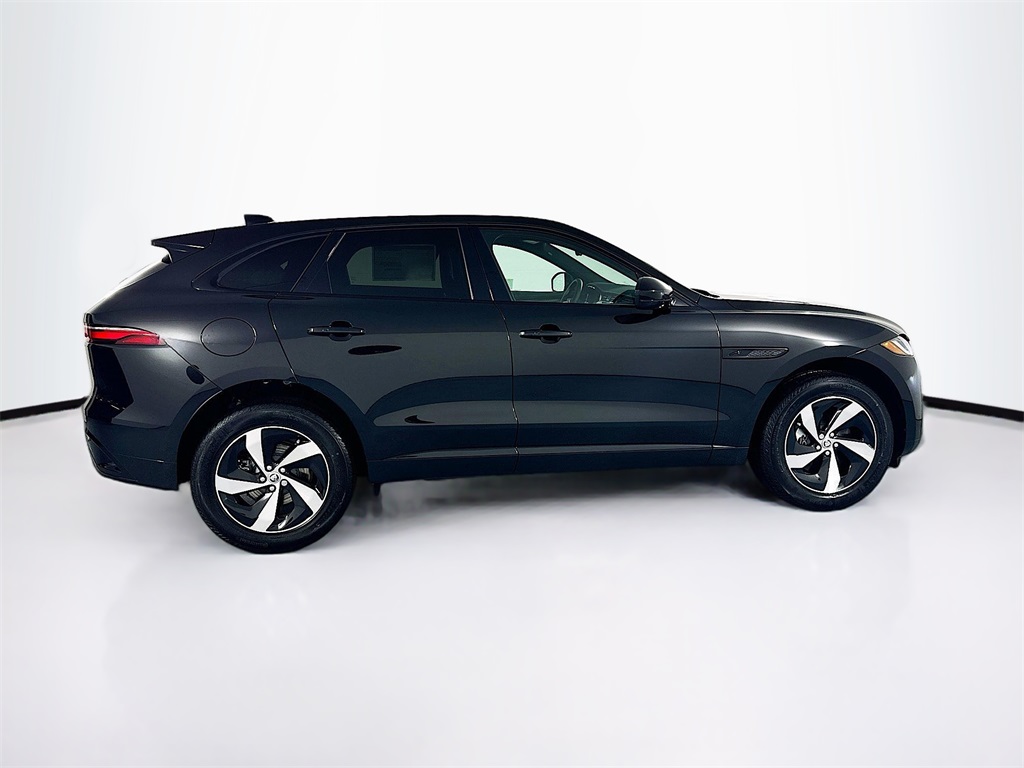 New 2025 Black Jaguar P250 image 4