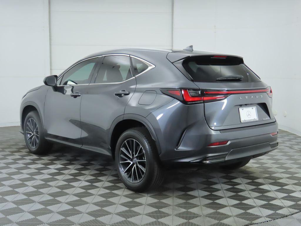 2024 Lexus NX 250 photo 5