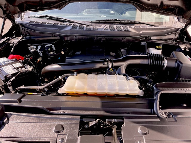 2022 Ford F-150 XLT photo 13