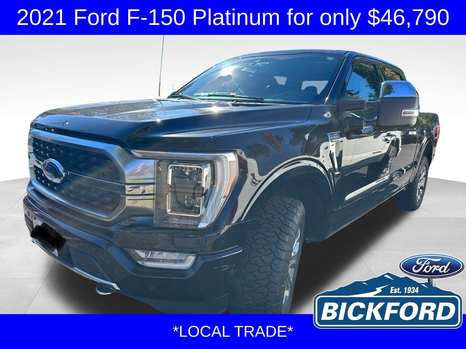 2021 Ford F-150 Platinum's photo