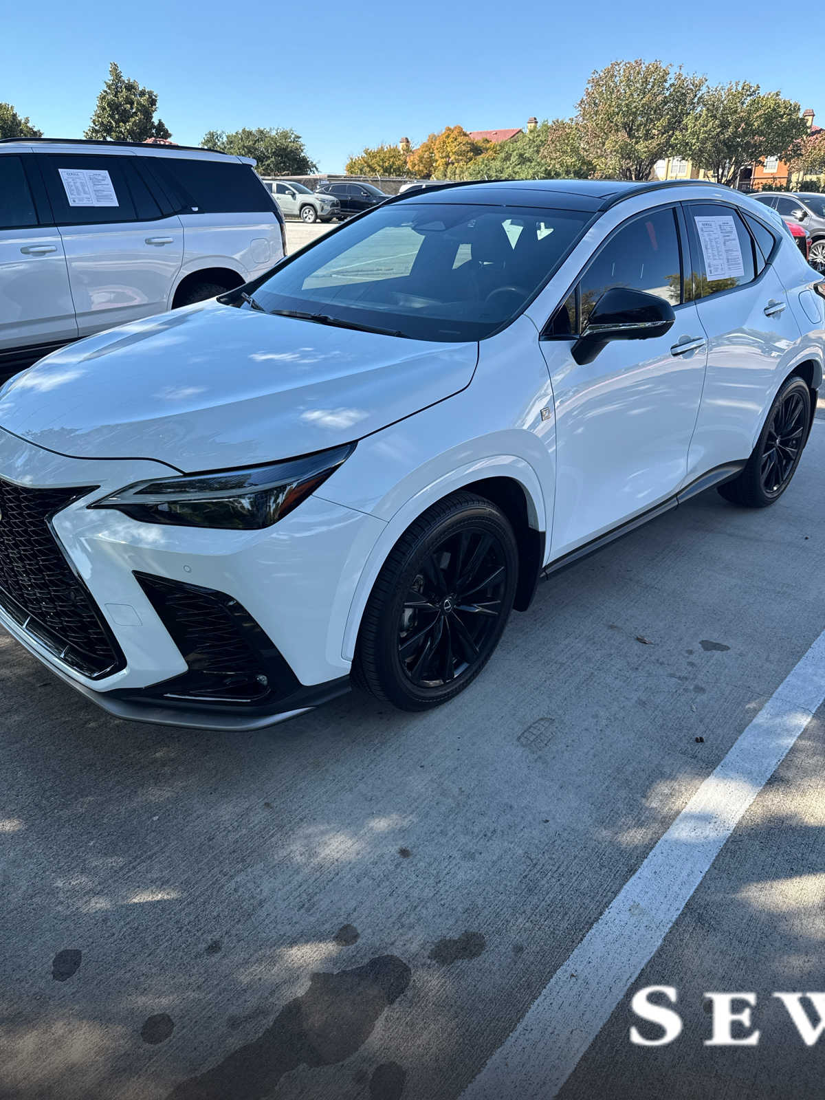 2024 Lexus NX 350's photo