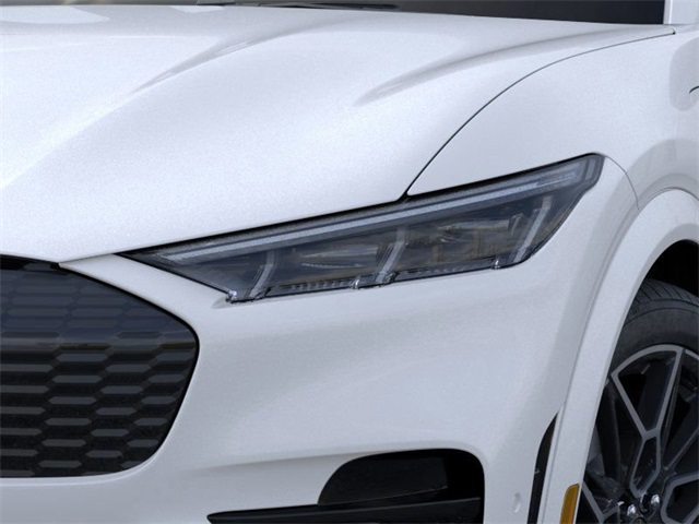 2025 Ford Mustang Mach-E GT photo 10