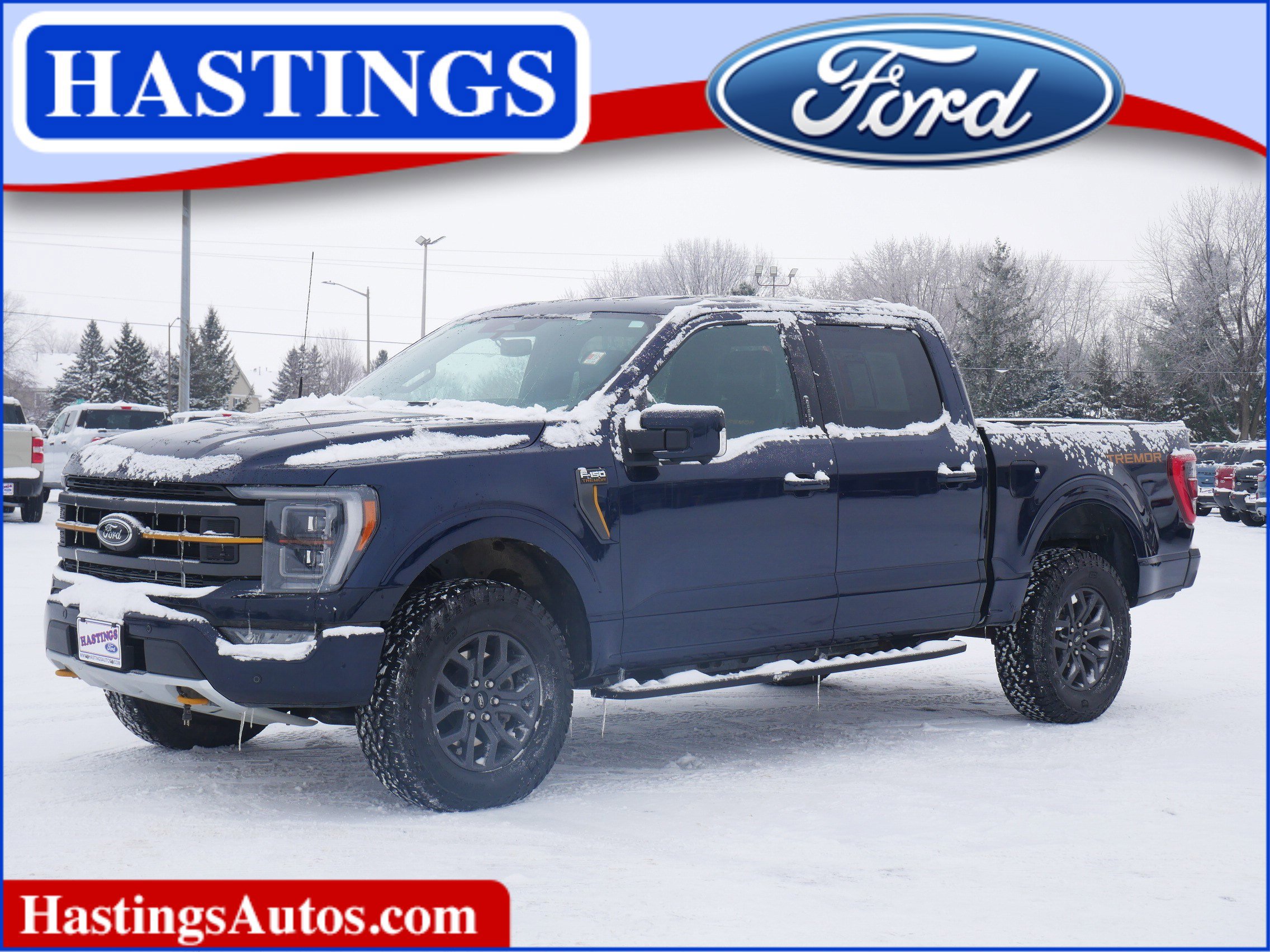 2023 Ford F-150 Tremor's photo