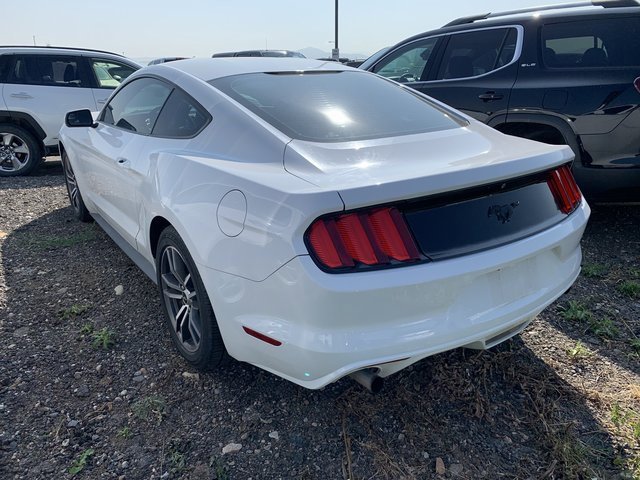 2016 Ford Mustang EcoBoost photo 4
