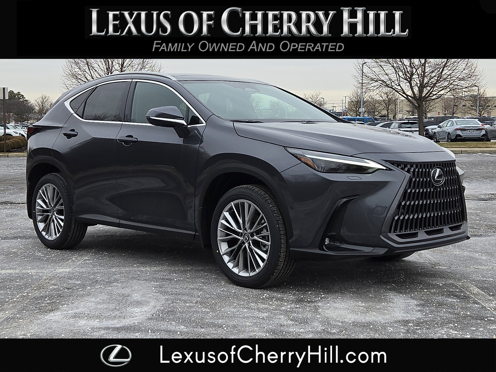 2026 Lexus NX 350's photo