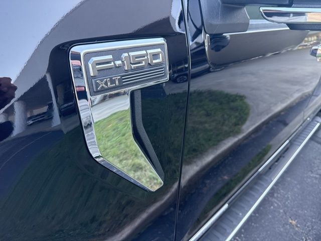 2025 Ford F-150 XLT photo 3