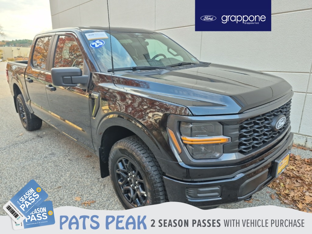 2025 Ford F-150 STX's photo