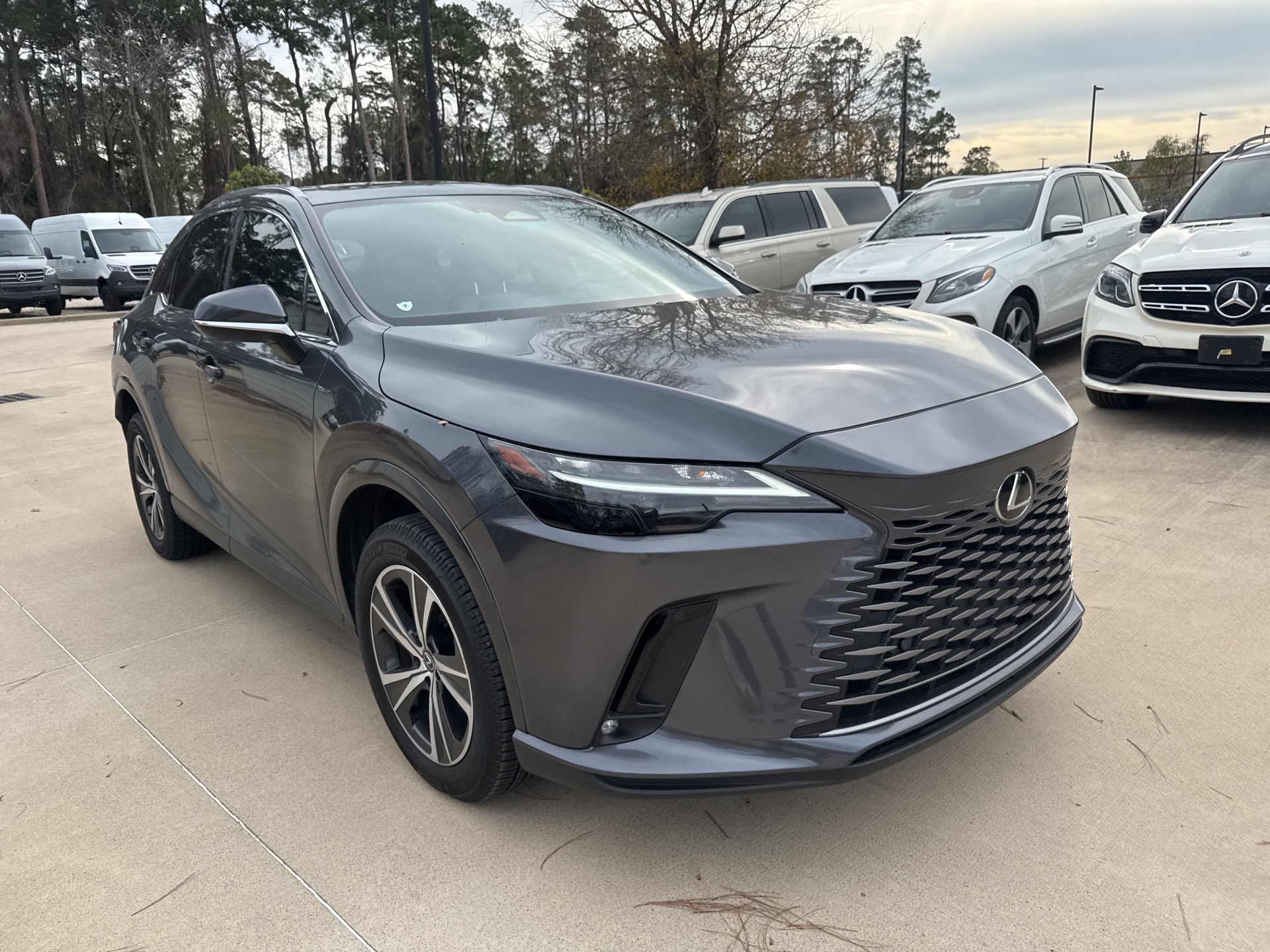 2024 Lexus RX 350's photo