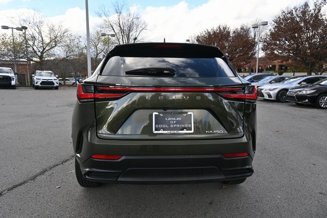2023 Lexus NX 250 Premium photo 4