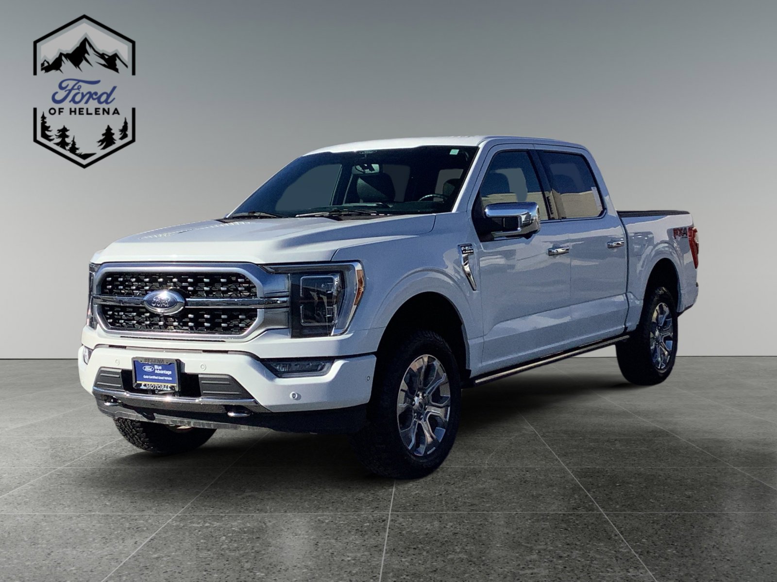 2021 Ford F-150 Platinum's photo
