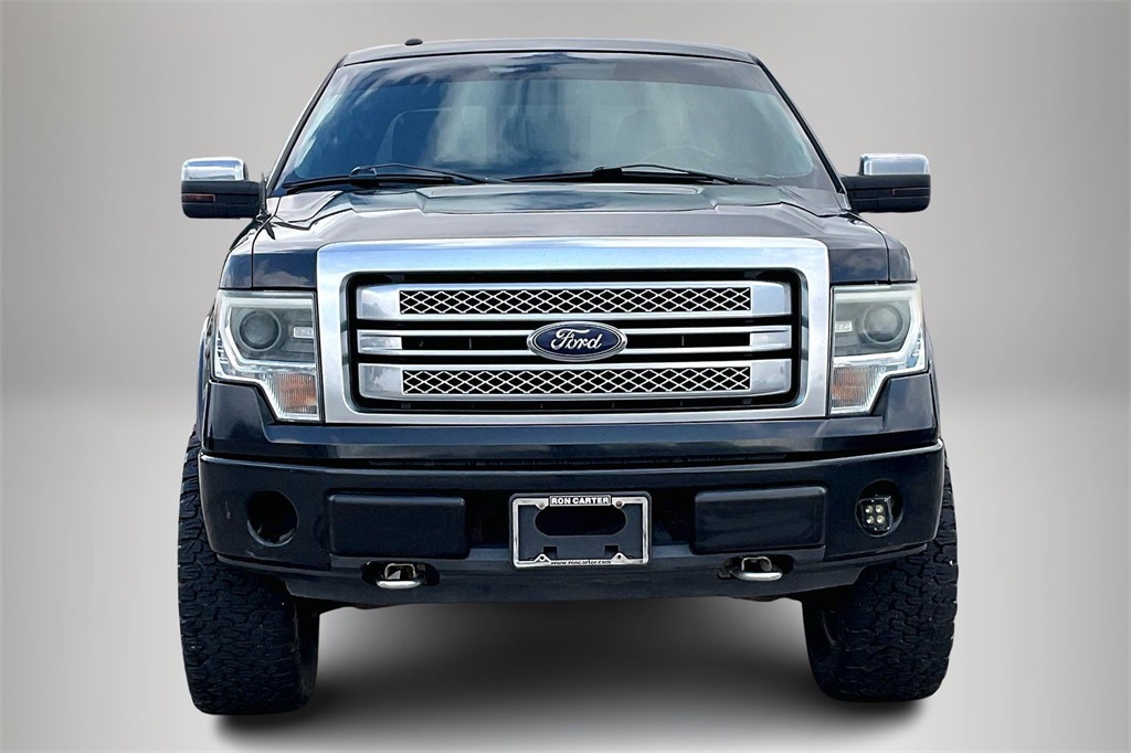 2014 Ford F-150 Platinum photo 3