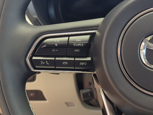 2025 Mazda CX-90 3.3 Turbo Premium Plus photo 21