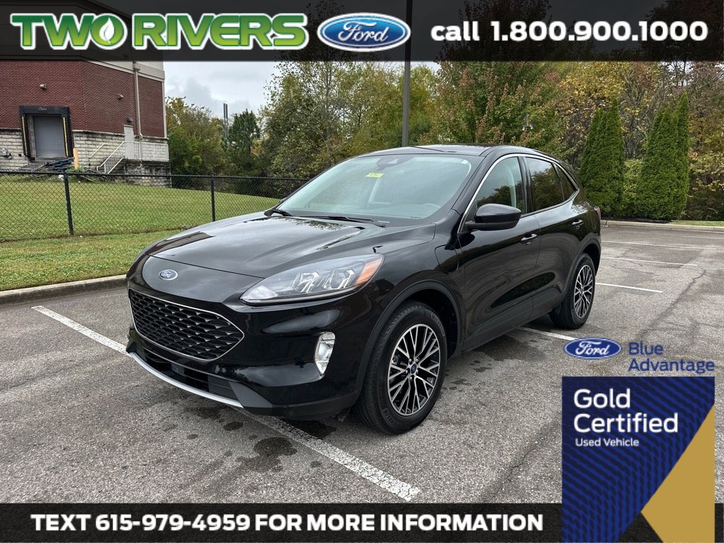 2022 Ford Escape SEL's photo