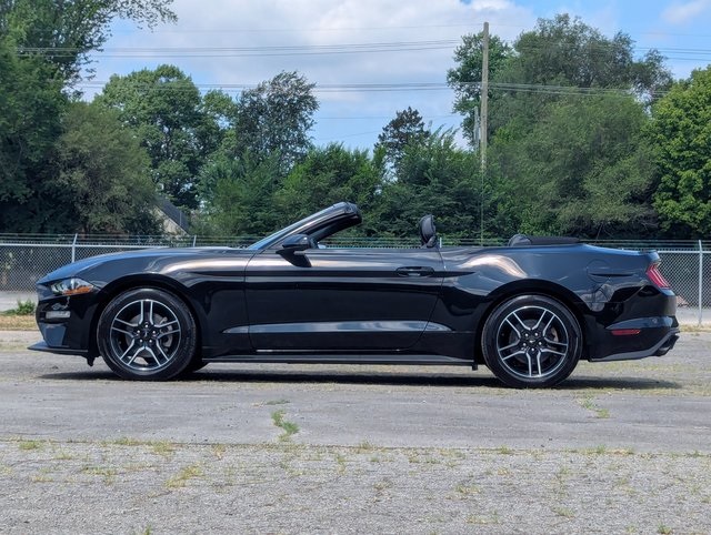 2023 Ford Mustang EcoBoost Premium photo 3