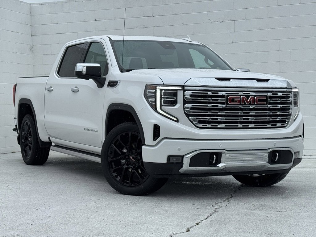 2024 Gmc Sierra 1500 Denali photo 2