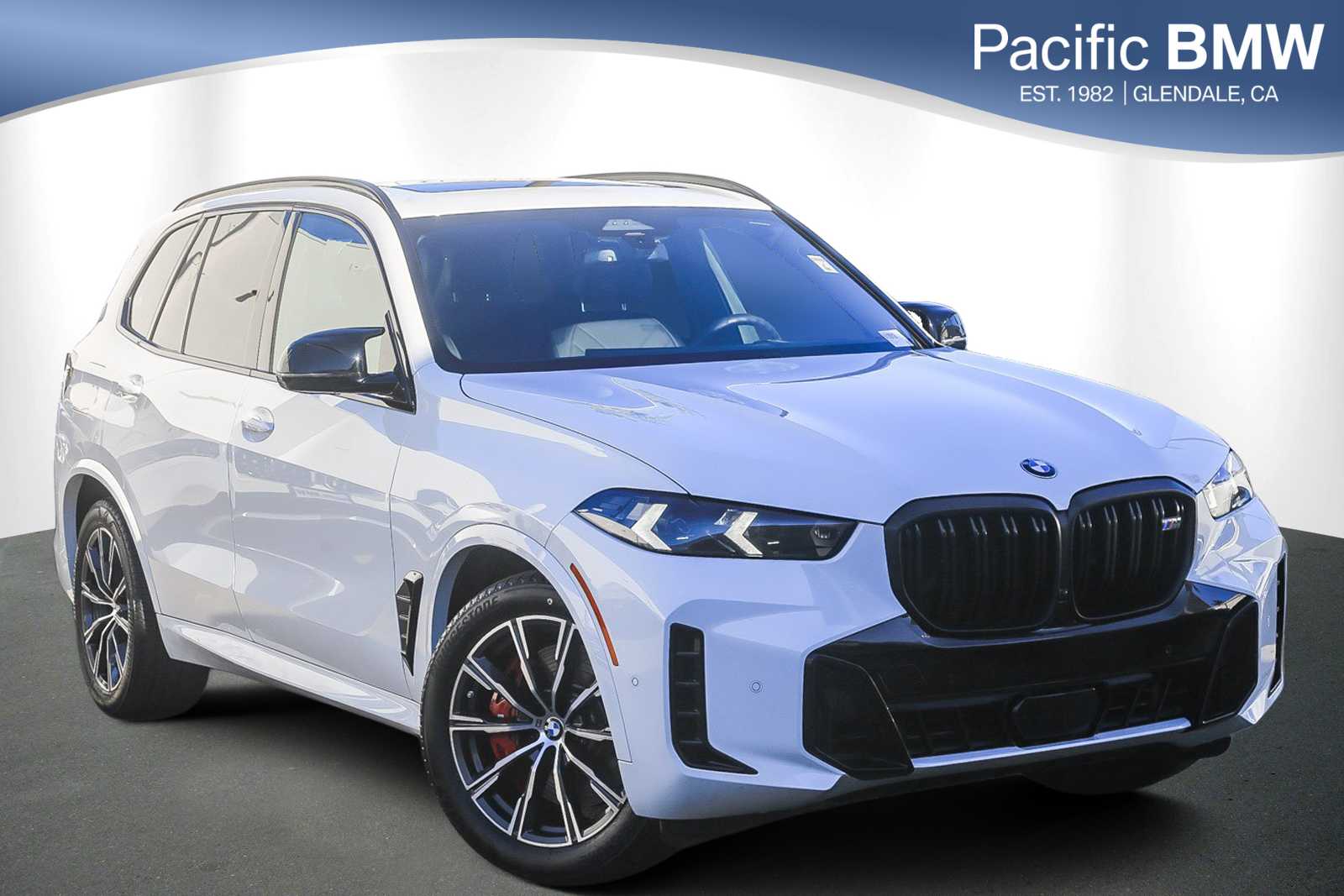 2025 BMW X5 M60i's photo
