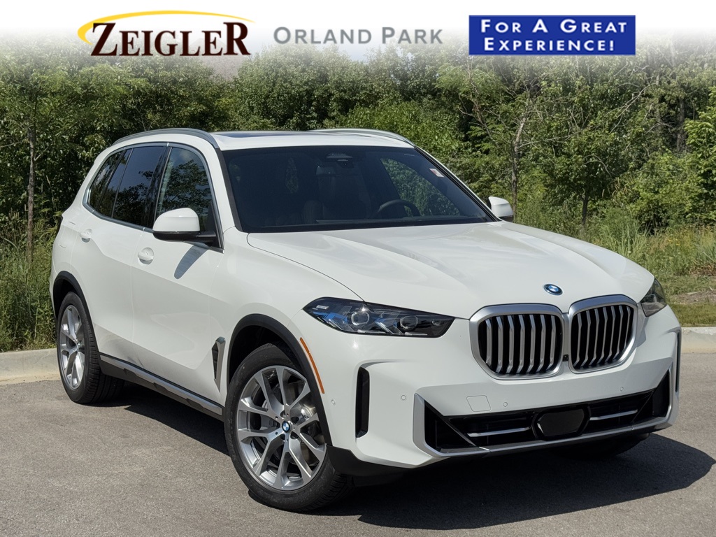 2026 BMW X5 50e's photo