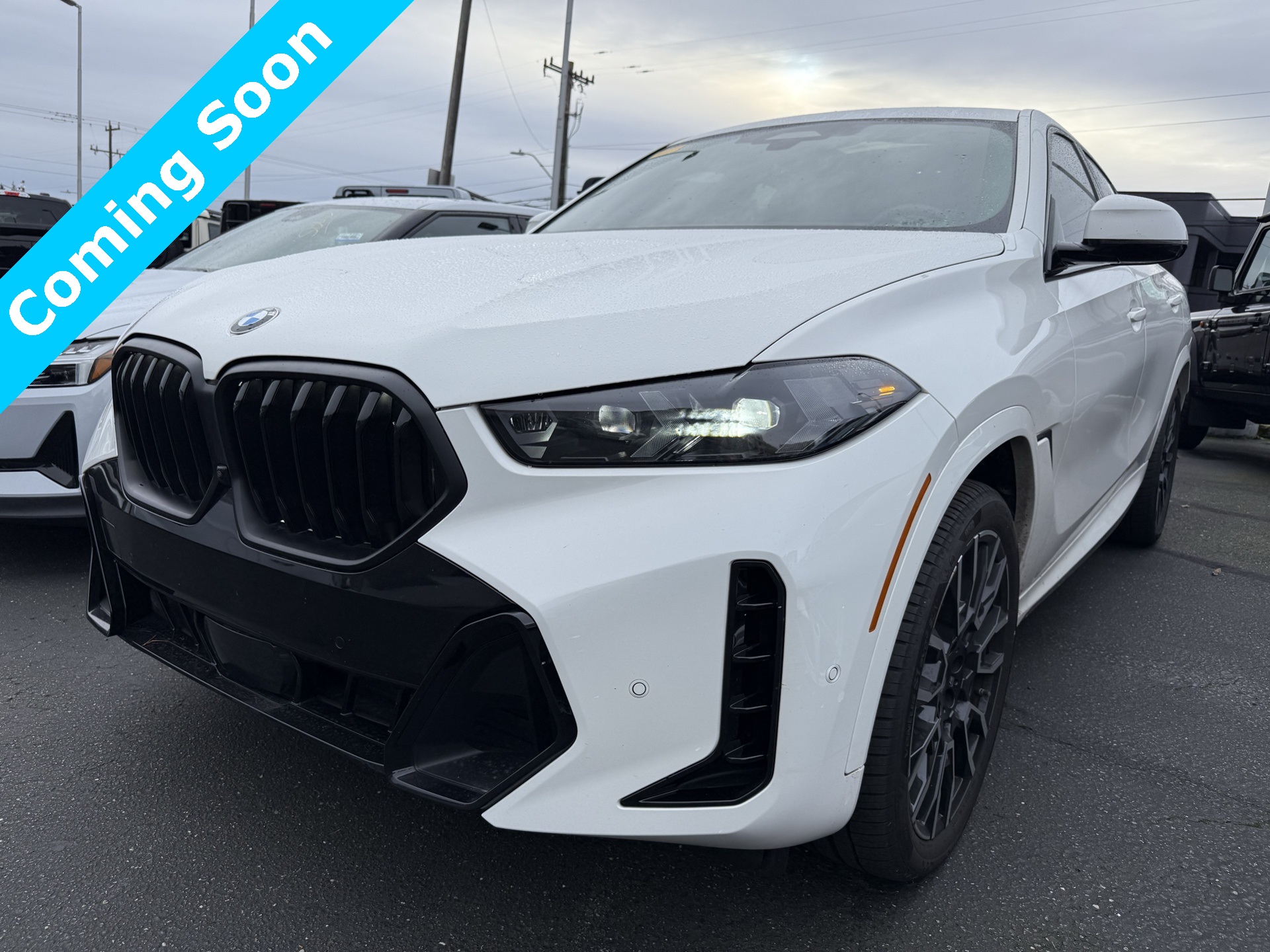 2025 Bmw X6 xDrive40i photo 3