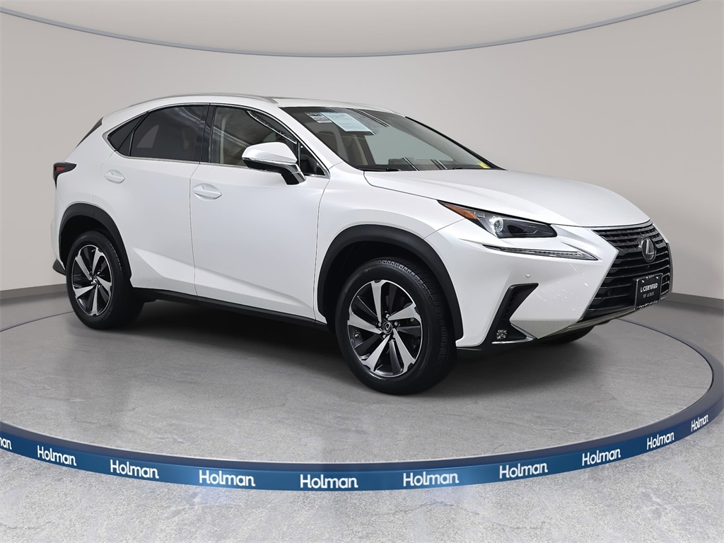 2019 Lexus NX 300 Luxury photo 2