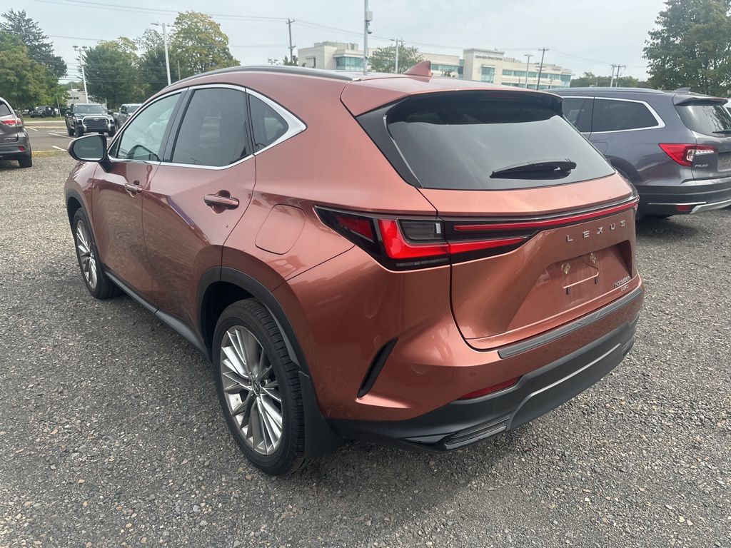 2025 Lexus NX 350h Luxury photo 6