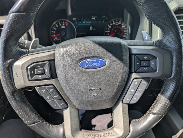 2019 Ford F-150 Raptor photo 17