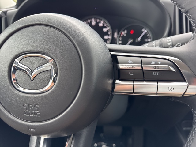 2025 Mazda CX-50 2.5 S Preferred photo 17