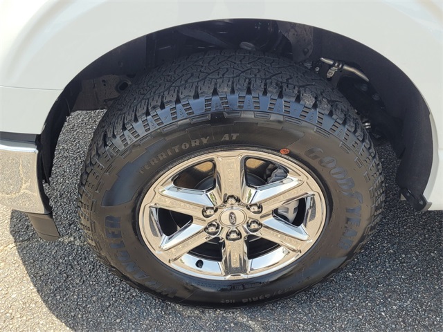 2024 Ford F-150 XLT photo 11