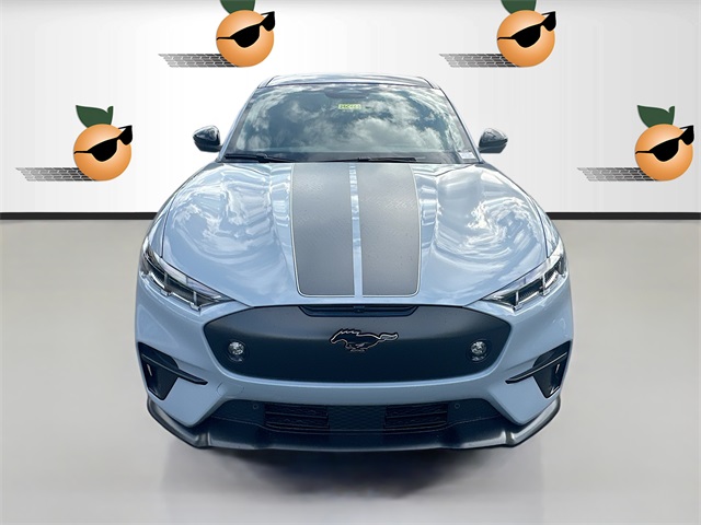 2025 Ford Mustang Mach-E GT photo 2