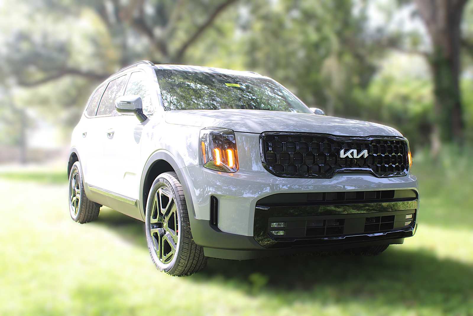 2025 Kia Telluride X-Line photo 2
