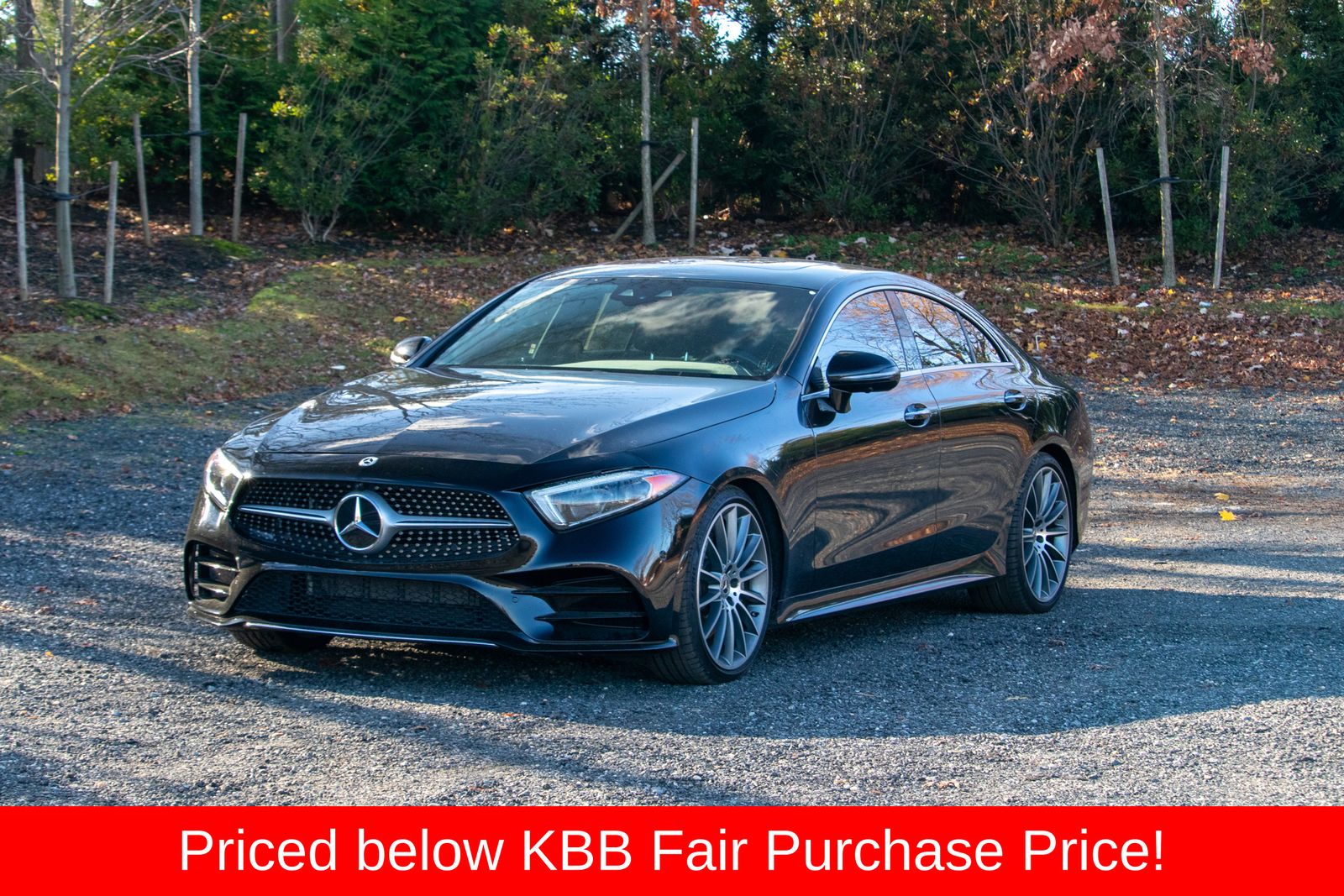 2019 Mercedes-Benz CLS-Class CLS450's photo