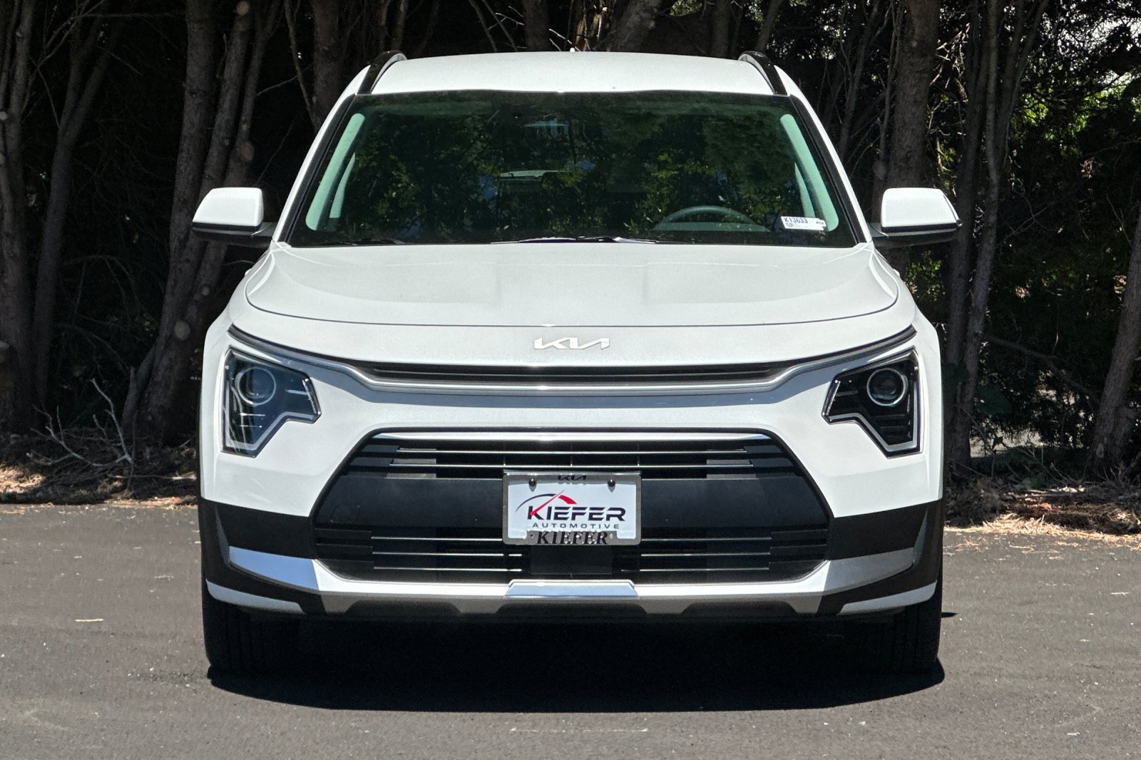 2025 Kia Niro EX Touring photo 4