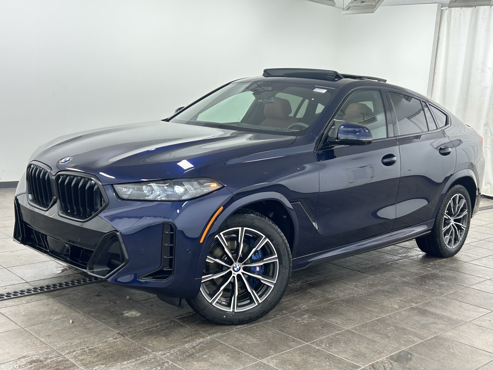 2026 BMW X6