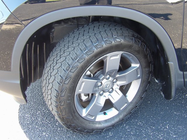 2024 Honda Ridgeline TrailSport photo 46